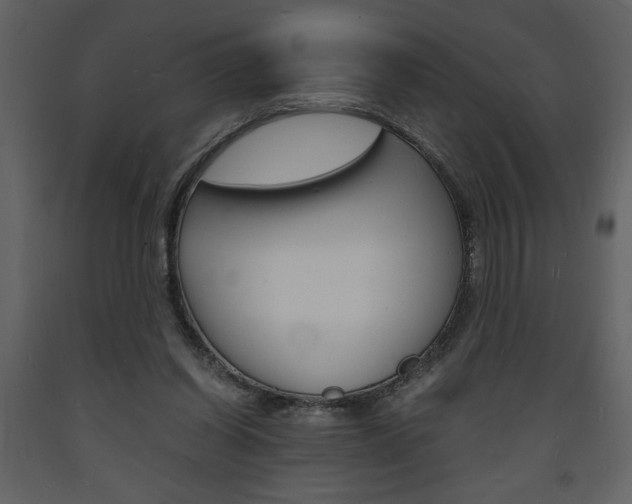 X0000094060254200710190940