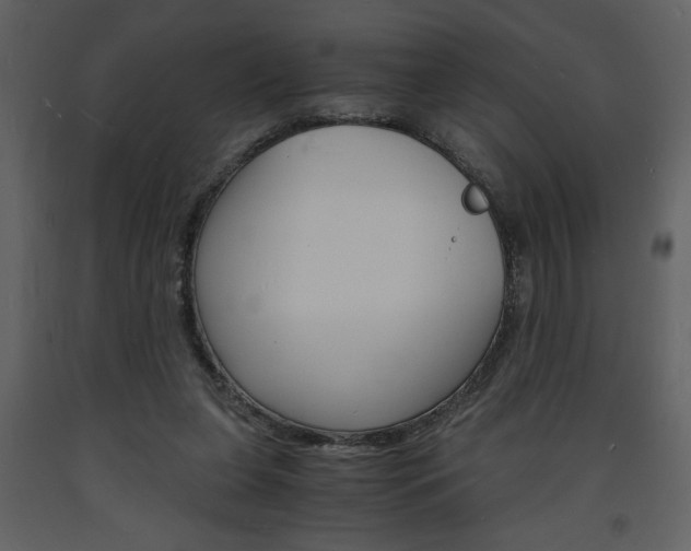X0000094060255200710190940