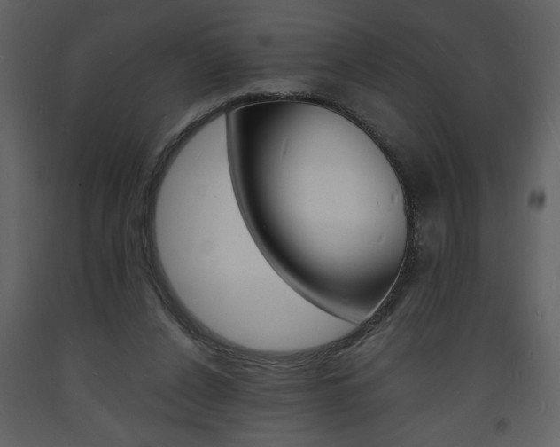 X0000094060256200710190940