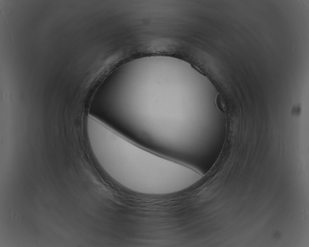 X0000094060260200710190940