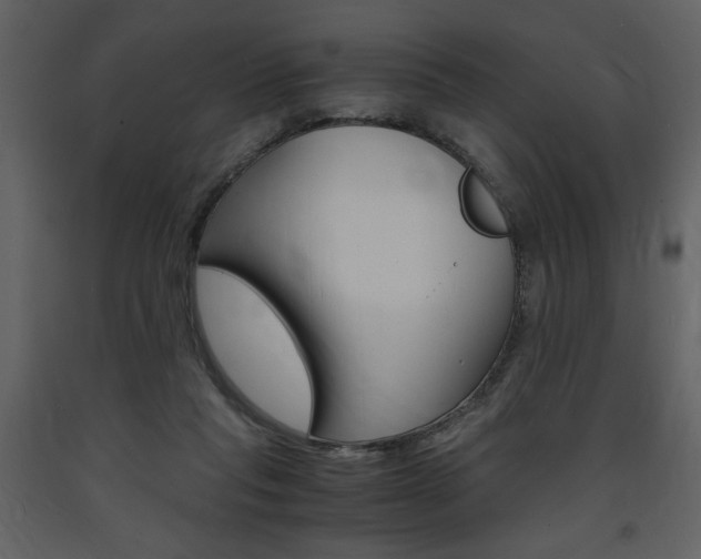 X0000094060261200710190940