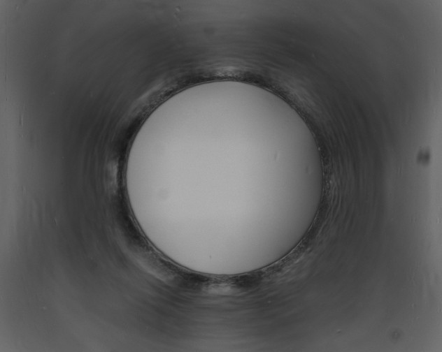 X0000094060262200710190940