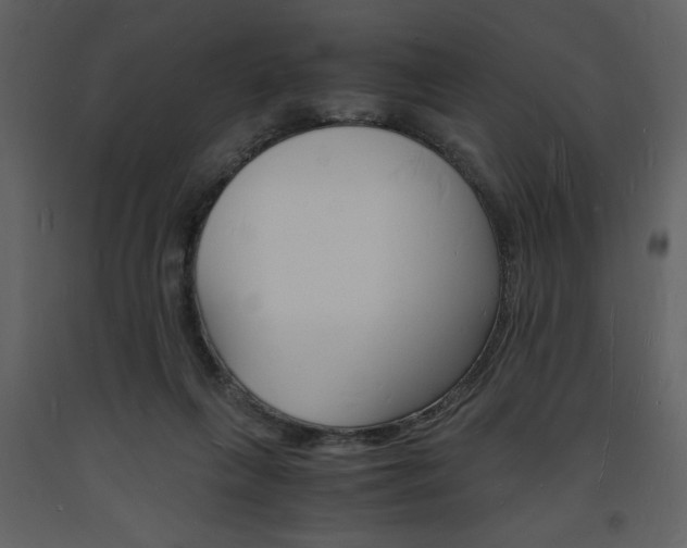 X0000094060263200710190940