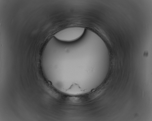 X0000094060265200710190940