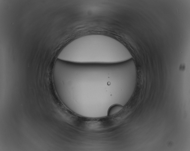 X0000094060266200710190940