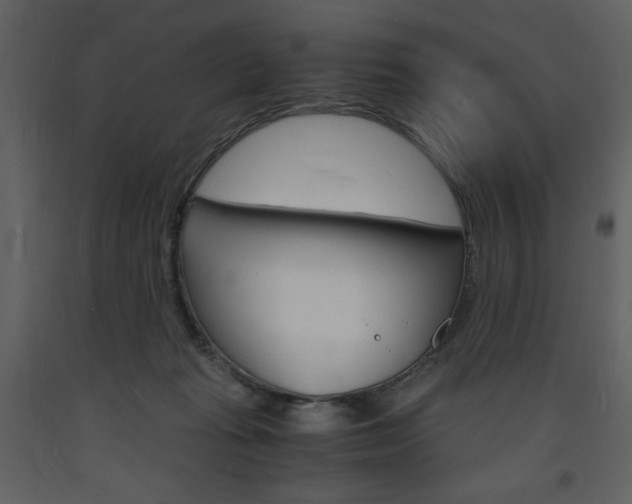 X0000094060269200710190940
