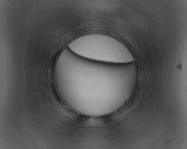 X0000094060270200710190940