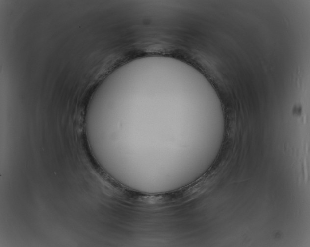 X0000094060273200710190940