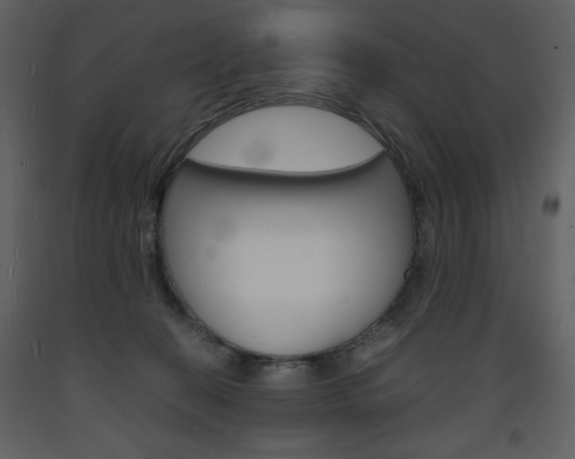 X0000094060274200710190940