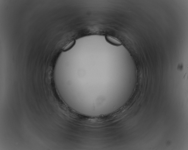 X0000094060275200710190940