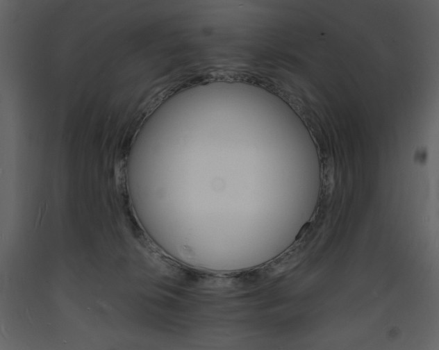 X0000094060276200710190940