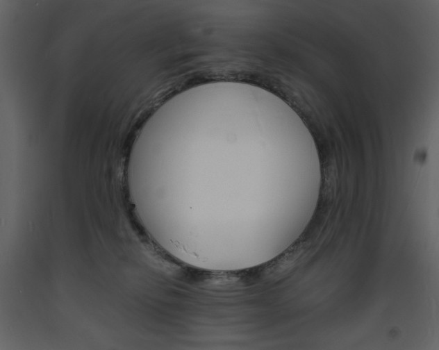 X0000094060278200710190940