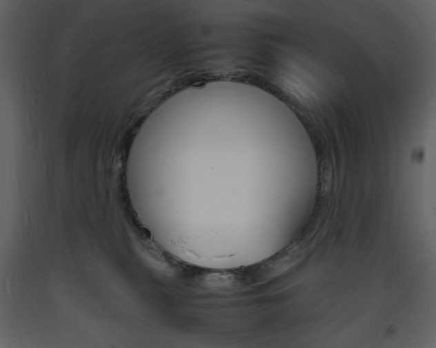 X0000094060279200710190940