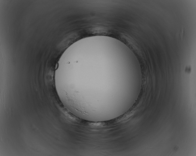 X0000094060281200710190940