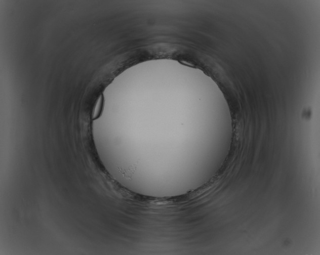 X0000094060283200710190940