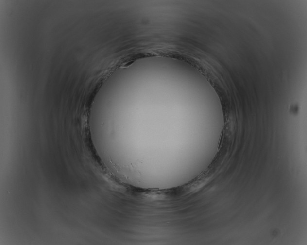X0000094060284200710190940