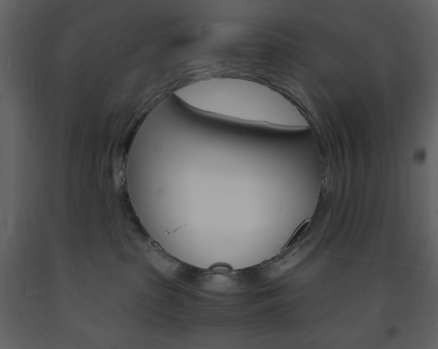 X0000094060285200710190940