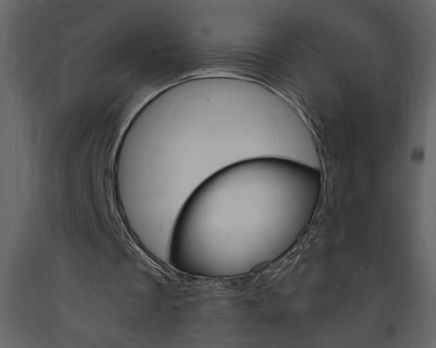 X0000094060289200710190939