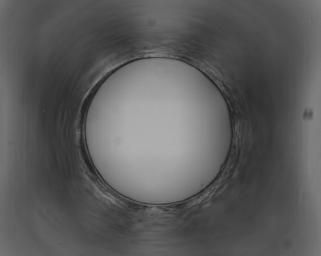 X0000094060290200710190939