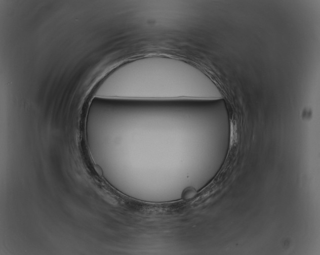 X0000094060291200710190939