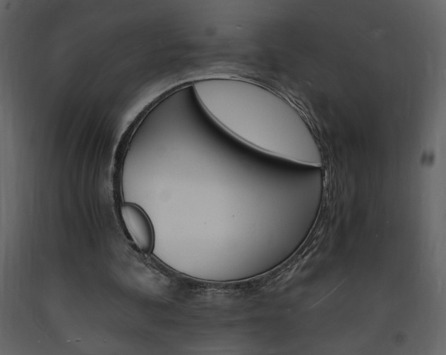 X0000094060292200710190939