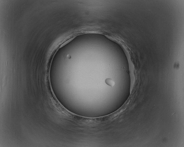 X0000094060293200710190939