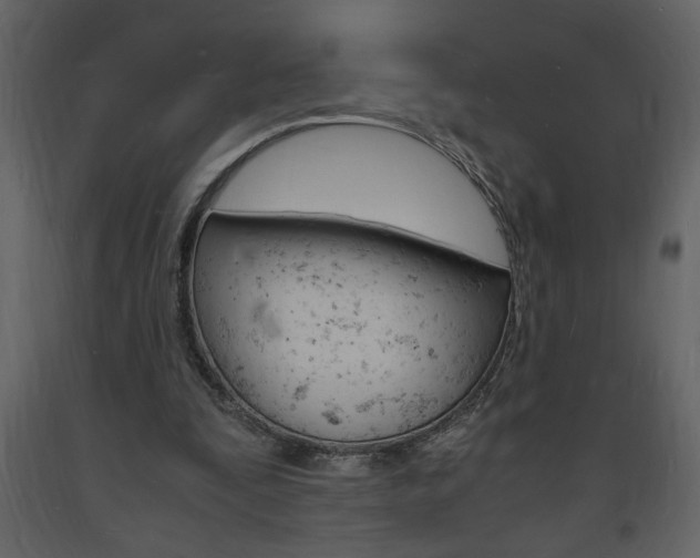 X0000094060295200710190939
