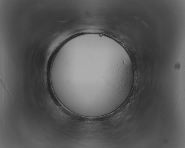 X0000094060296200710190939