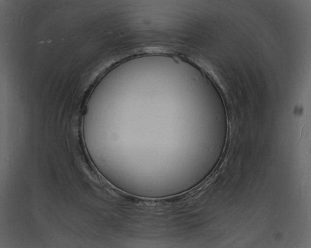 X0000094060297200710190939