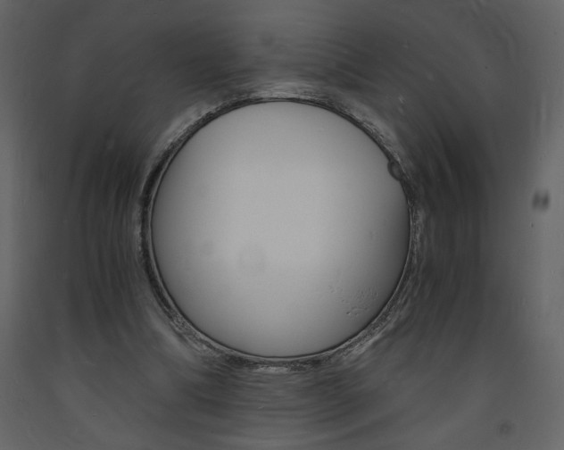X0000094060298200710190939