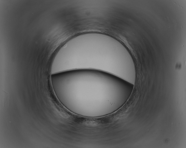 X0000094060299200710190939