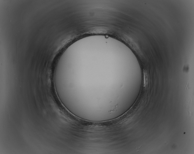 X0000094060300200710190939