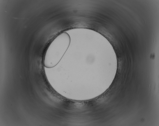 X0000094060302200710190939