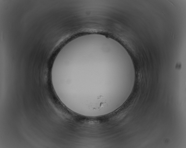 X0000094060304200710190939
