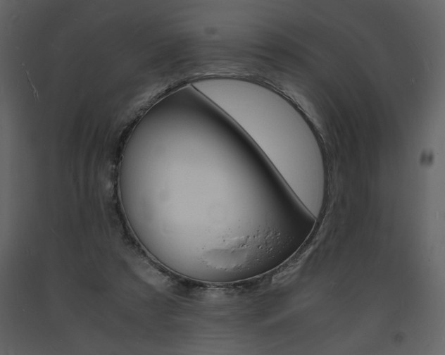 X0000094060305200710190939