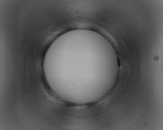 X0000094060306200710190939