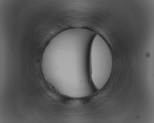 X0000094060307200710190939