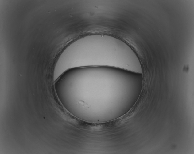 X0000094060309200710190939