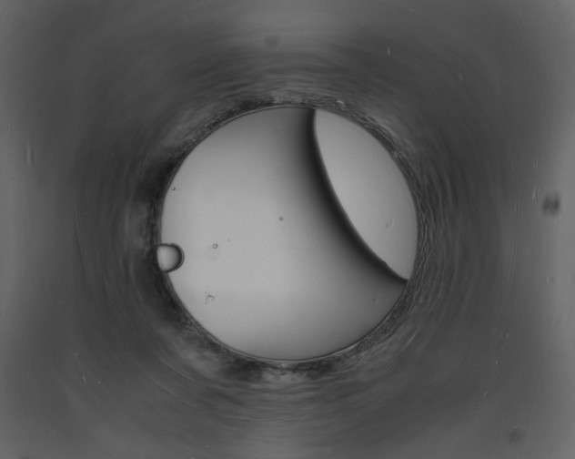X0000094060311200710190939