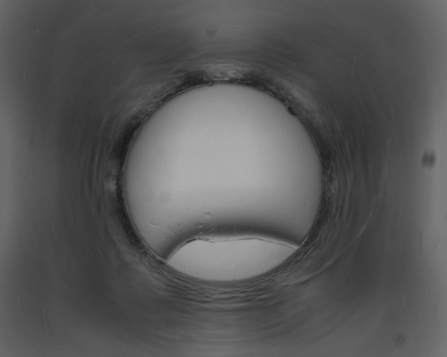 X0000094060315200710190939