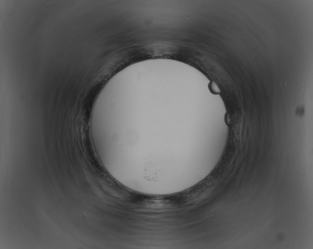 X0000094060316200710190939