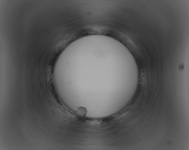 X0000094060318200710190939