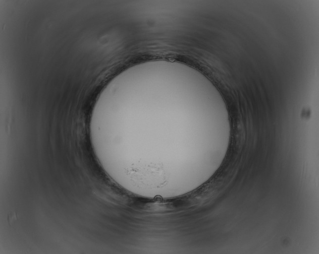 X0000094060320200710190939