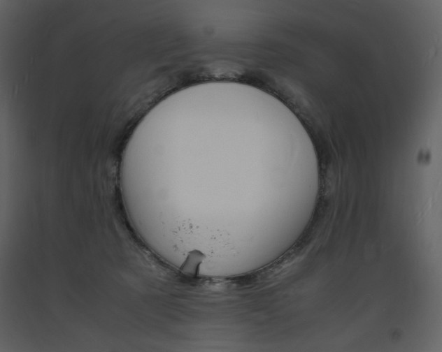 X0000094060321200710190939