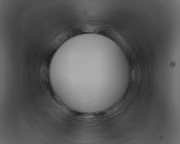 X0000094060322200710190939
