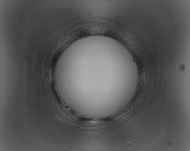 X0000094060323200710190939