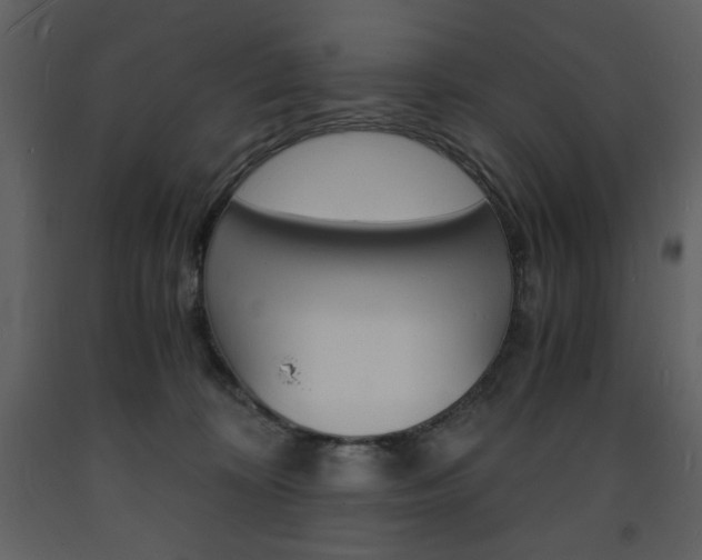 X0000094060324200710190939