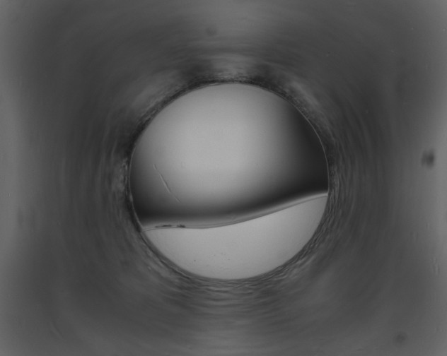 X0000094060325200710190939