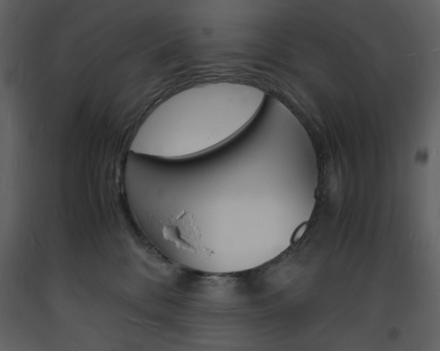 X0000094060328200710190939