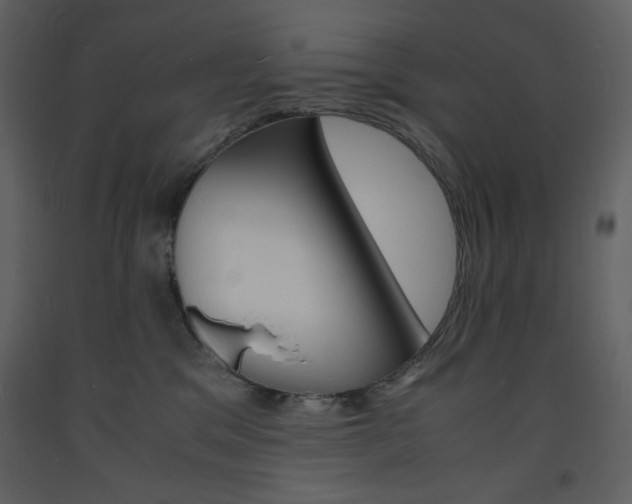 X0000094060329200710190939